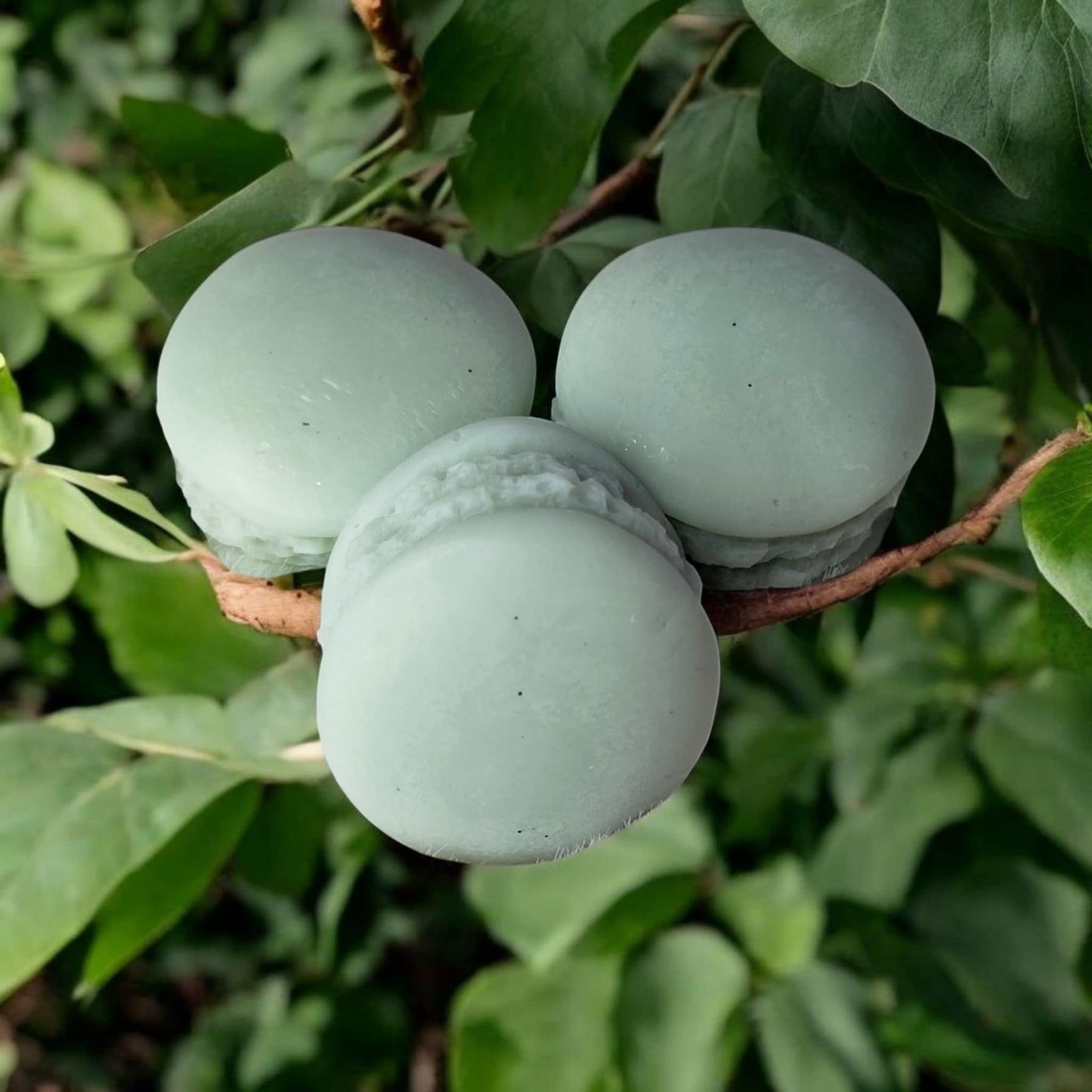 Fondant grenade & poire