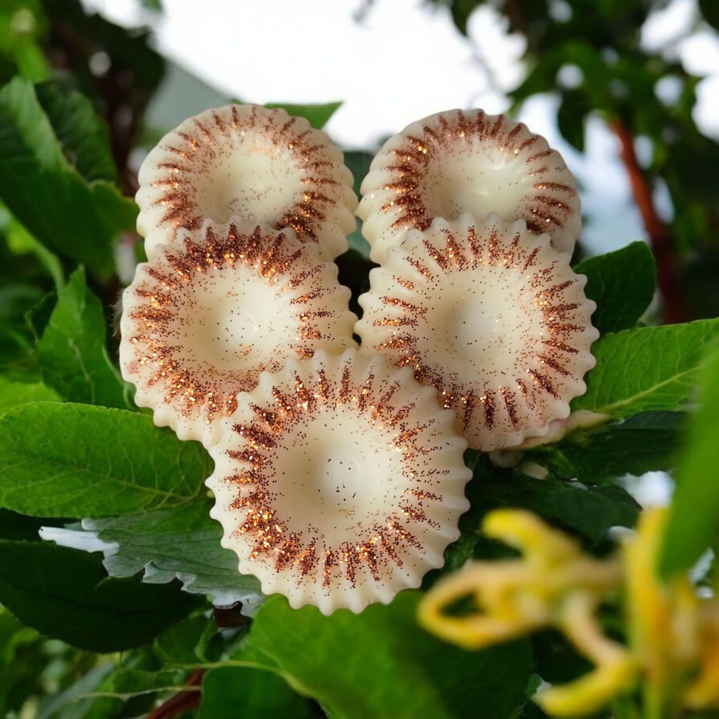 Fondant tubéreuse prestigieuse