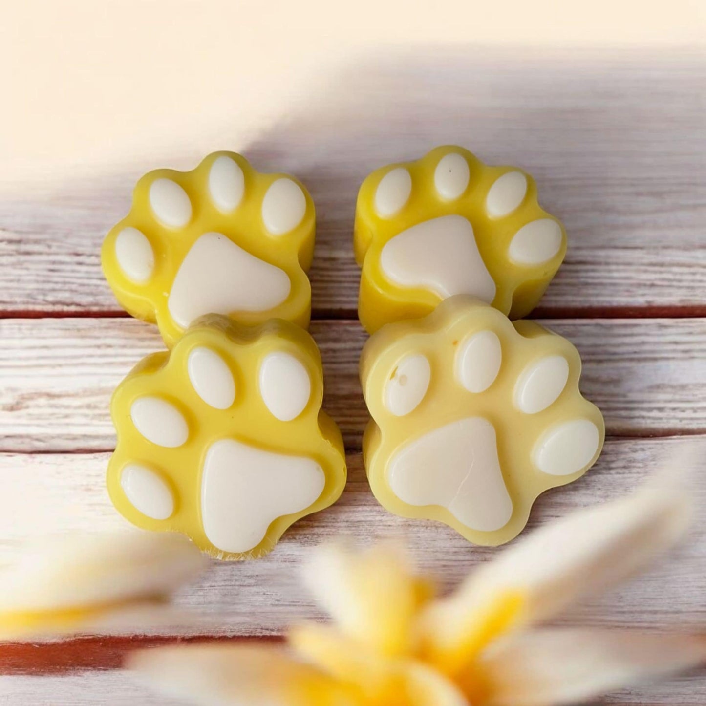 Fondant vanille gourmande