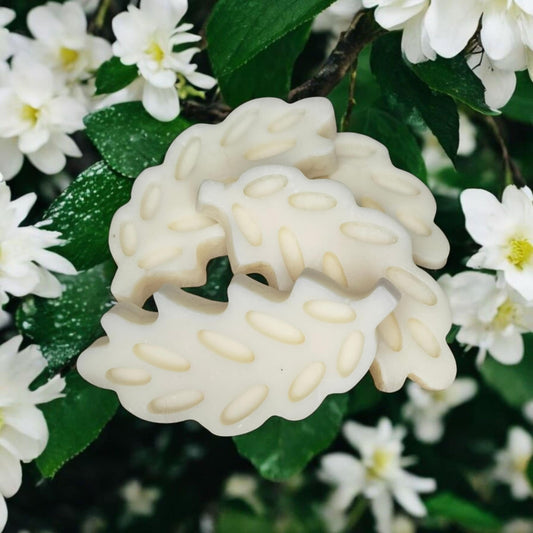 Fondant jasmin
