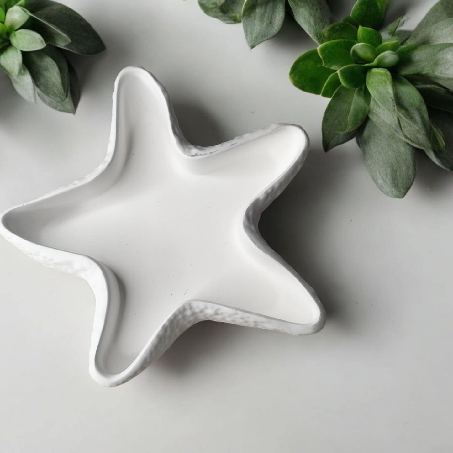 Vide poche étoile de mer