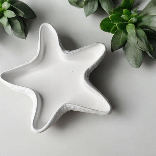 Vide poche étoile de mer