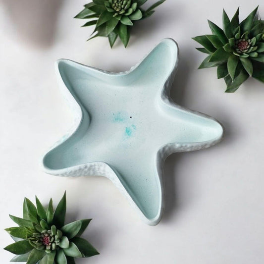 Vide poche étoile de mer